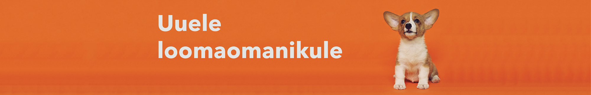 Uue loomaomaniku pakett
