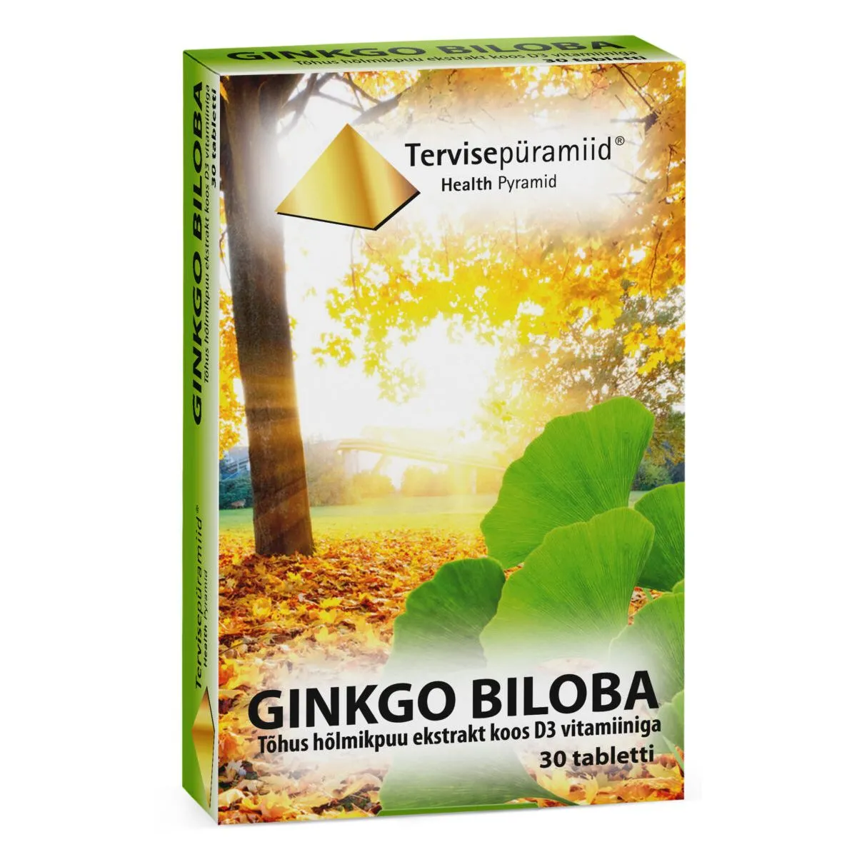 TERVISEPÜRAMIID GINKGO BILOBA TBL N30 - Product Image