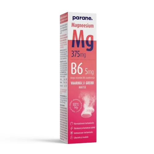 MAGNEESIUM 375MG+B6 5MG N20