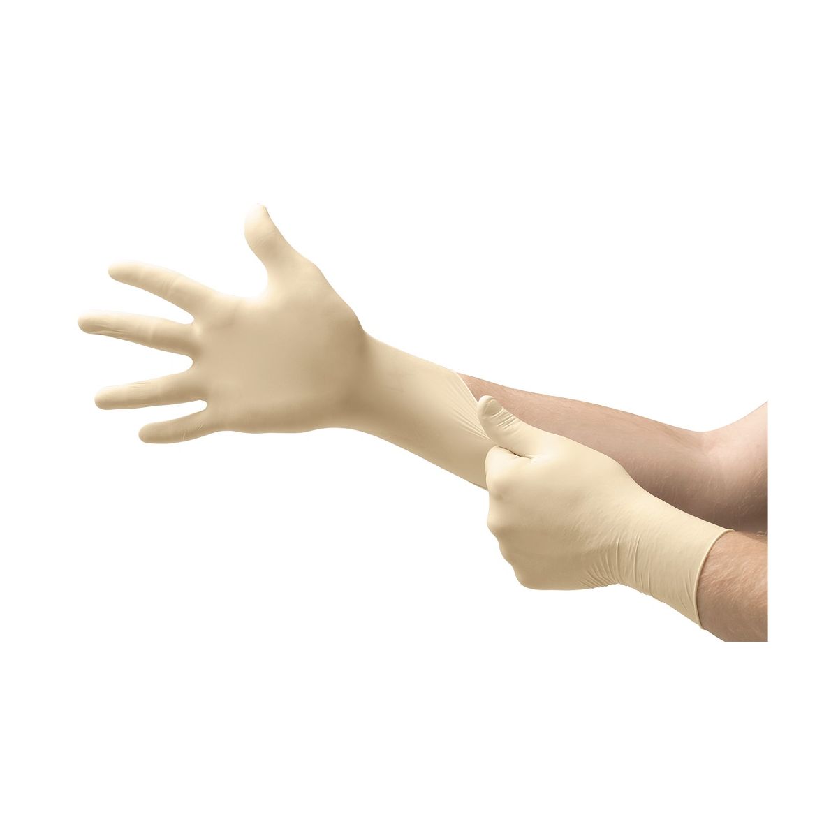KINDAD MICRO-TOUCH COATED PF PROTS LATEKS M N100 - Product Image